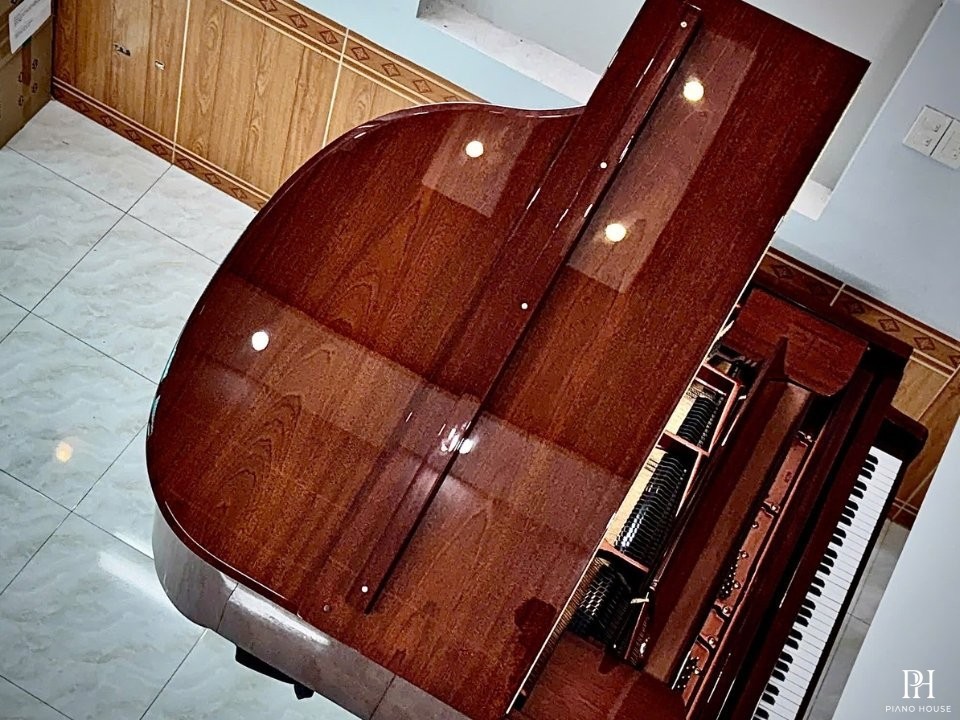 Wendl & Lung Mod.151 Mahogany - Silent