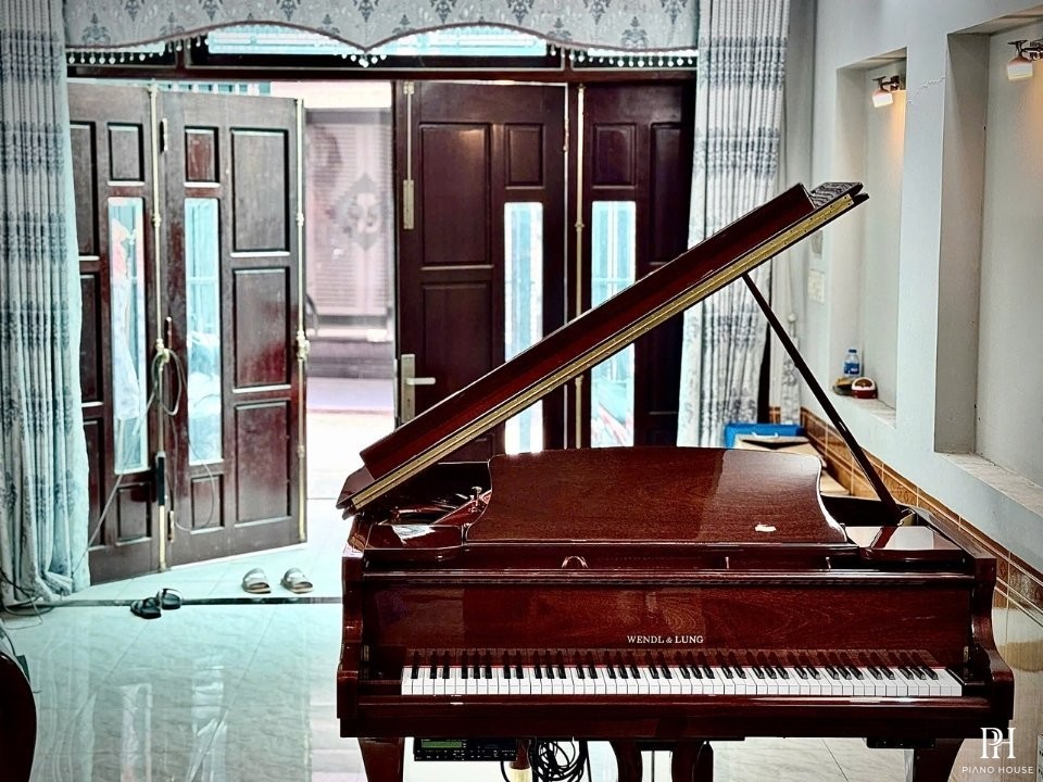 Wendl & Lung Mod.151 Mahogany - Silent