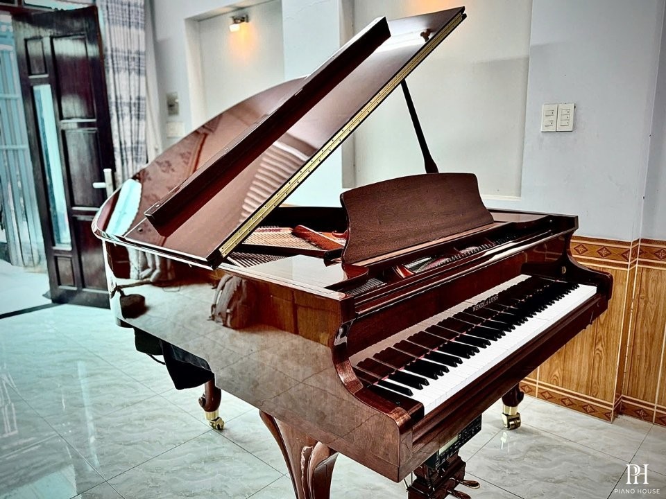 Wendl & Lung Mod.151 Mahogany - Silent