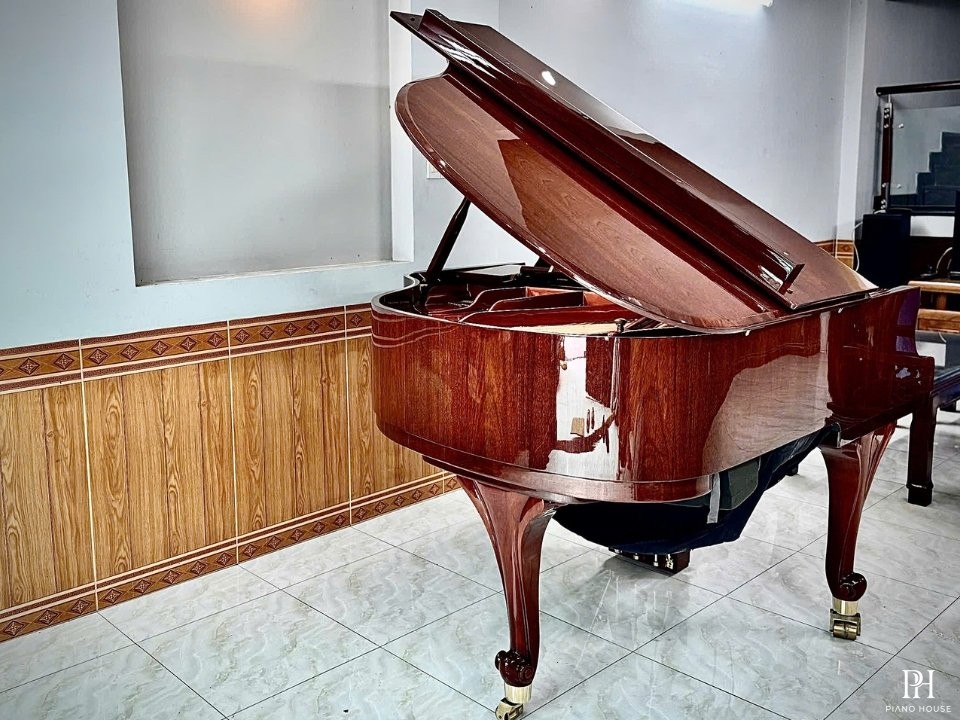 Wendl & Lung Mod.151 Mahogany - Silent