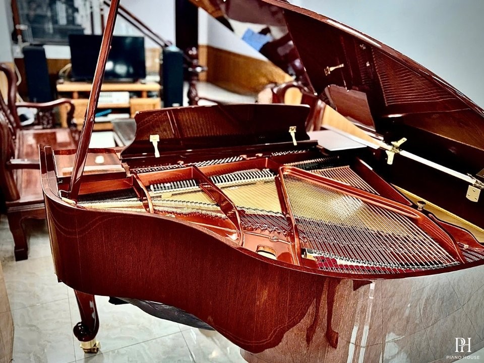 Wendl & Lung Mod.151 Mahogany - Silent