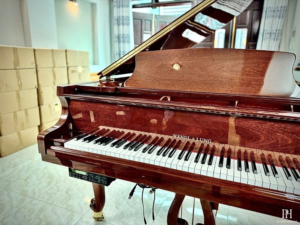 Wendl & Lung Mod.151 Mahogany - Silent