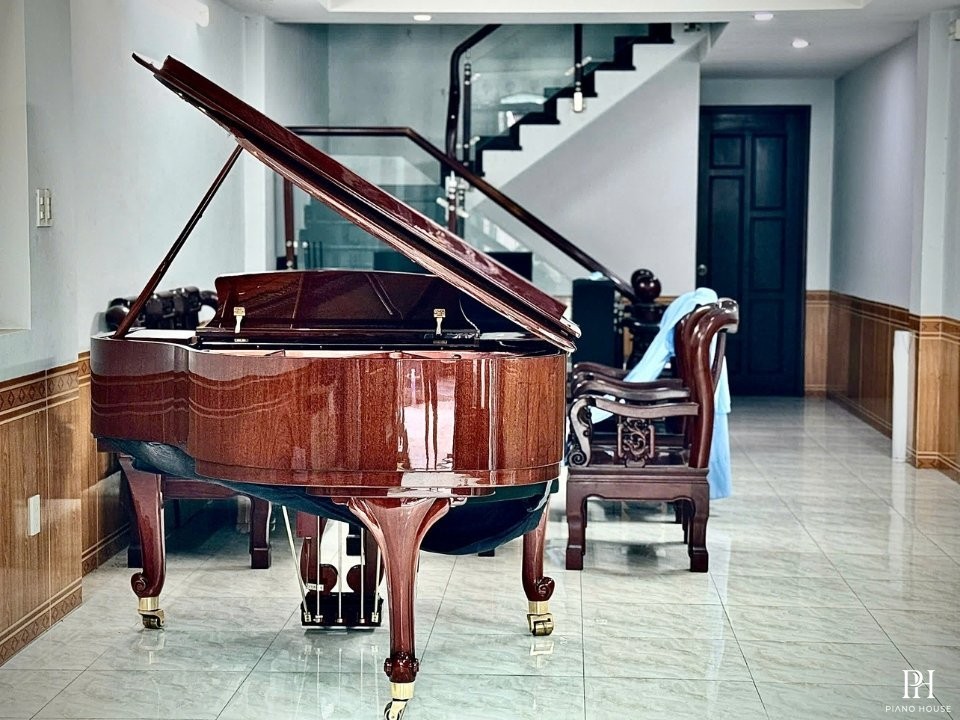 Wendl & Lung Mod.151 Mahogany - Silent