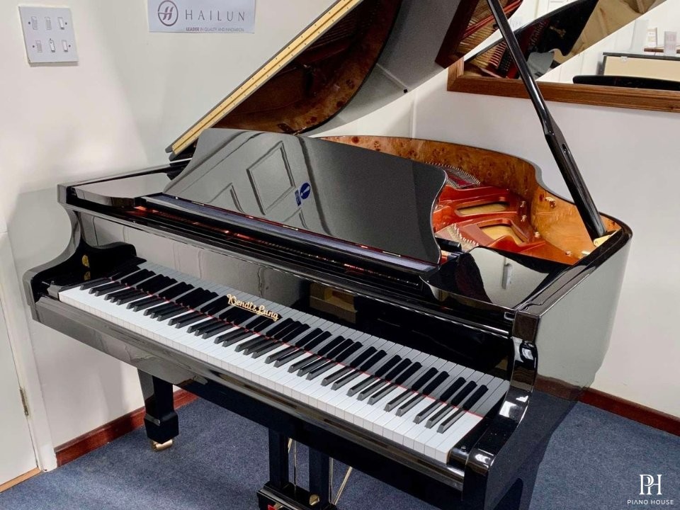 Wendl & Lung Mod.161 Professional I