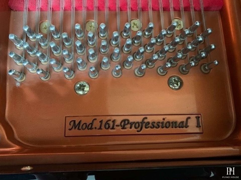 Wendl & Lung Mod.161 Professional I