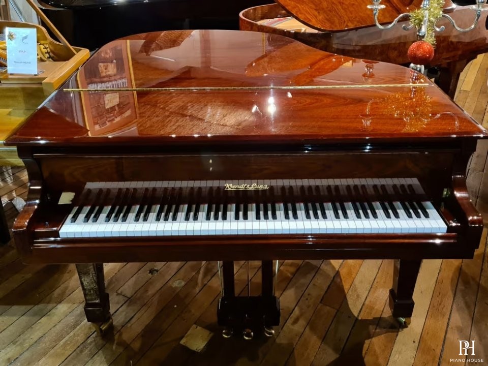Wendl & Lung Mod.161 Professional I Mahogany