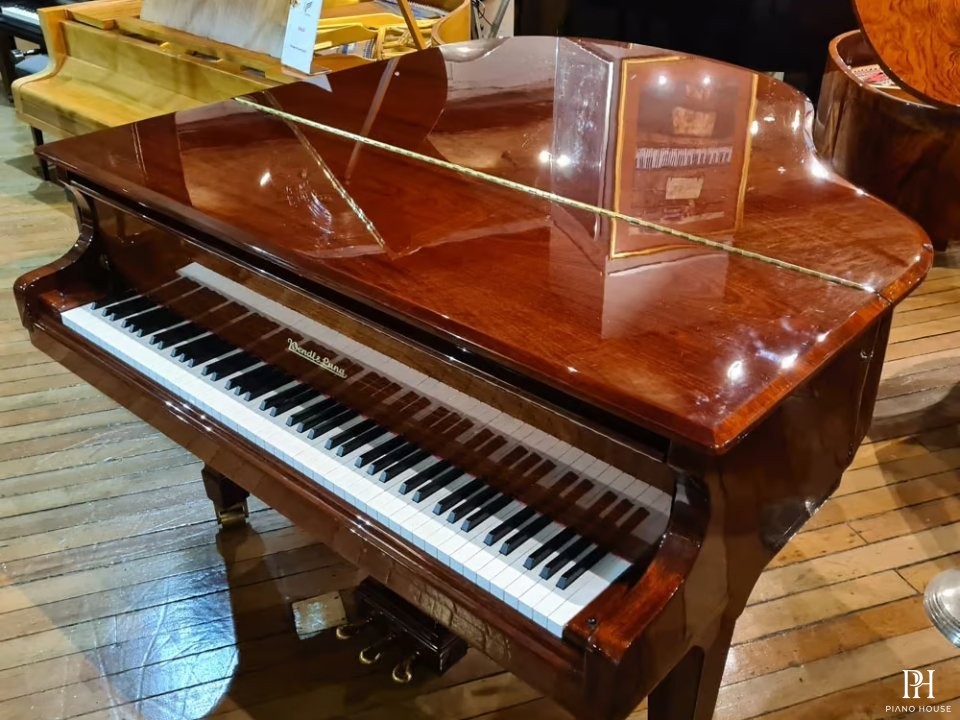 Wendl & Lung Mod.161 Professional I Mahogany
