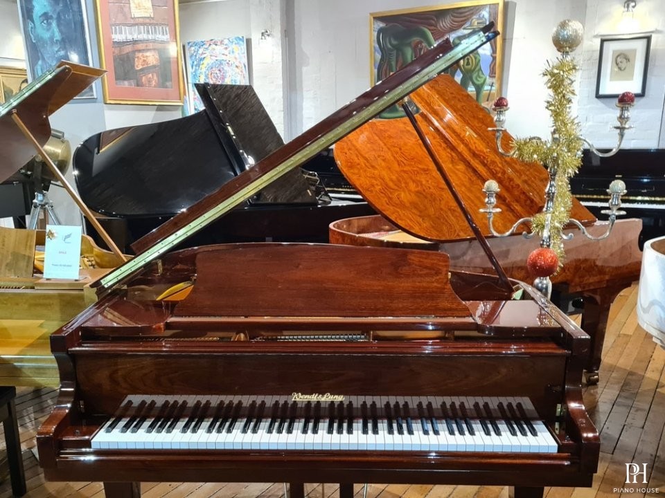 Wendl & Lung Mod.161 Professional I Mahogany
