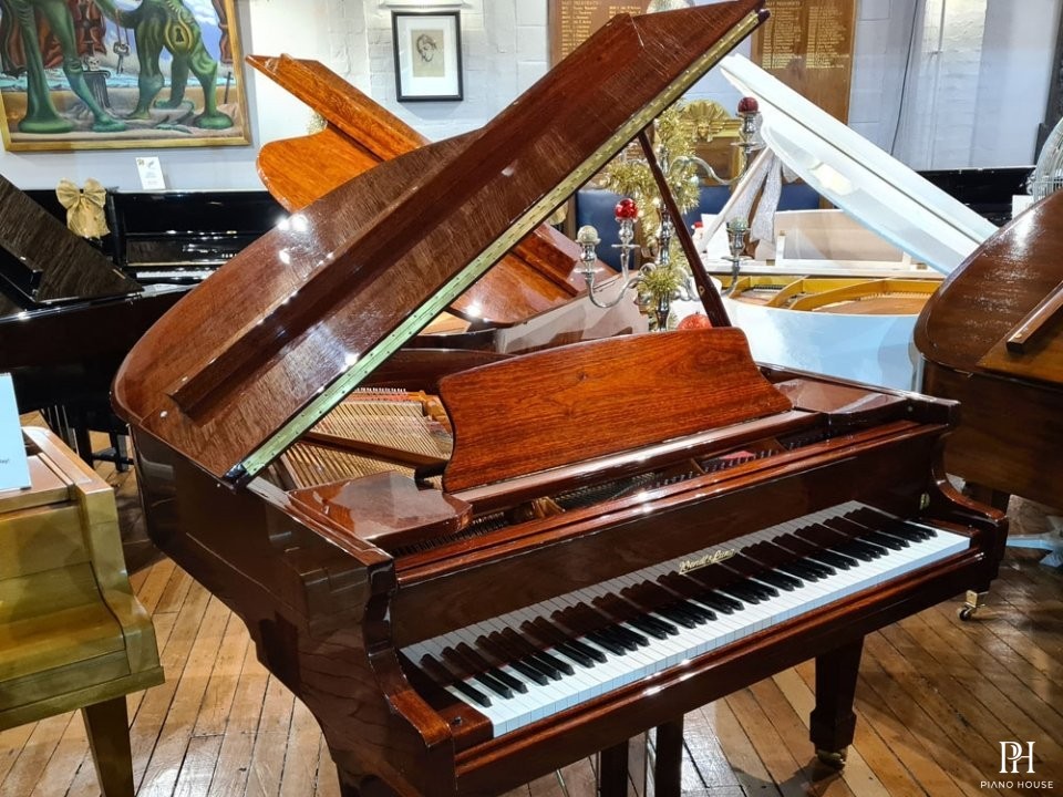 Wendl & Lung Mod.161 Professional I Mahogany