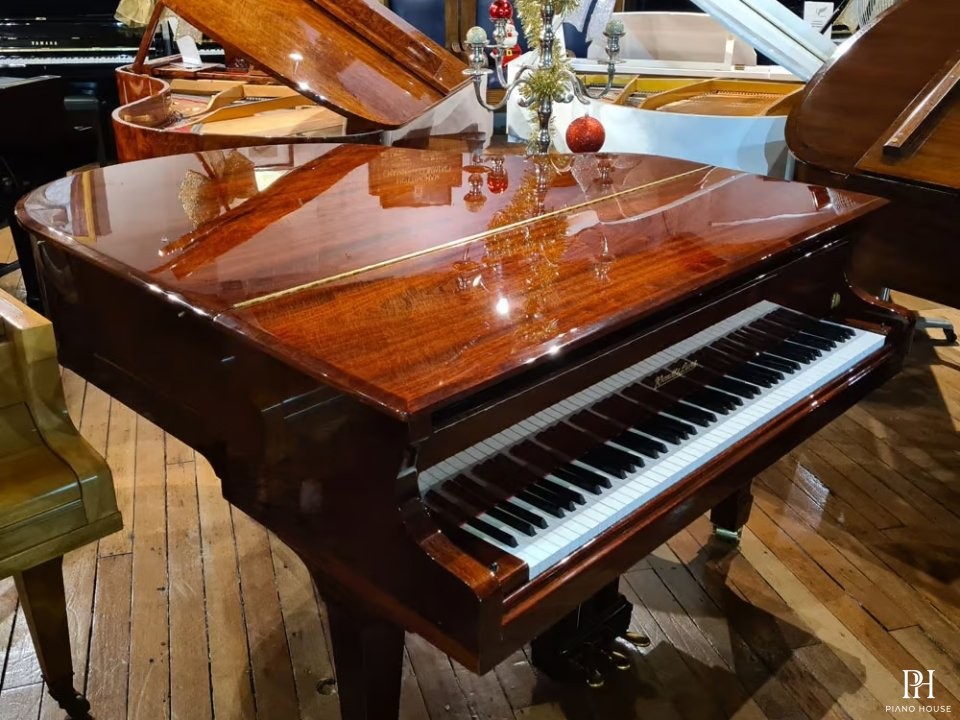 Wendl & Lung Mod.161 Professional I Mahogany