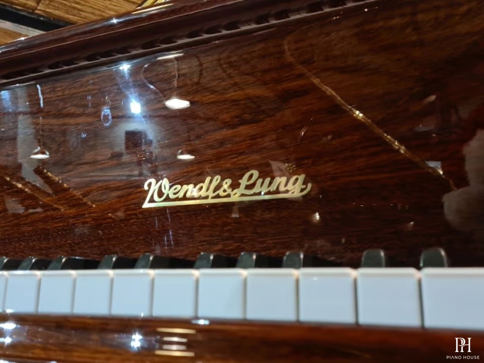 Wendl & Lung Mod.161 Professional I Mahogany