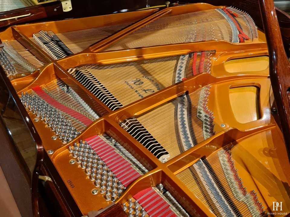 Wendl & Lung Mod.161 Professional I Mahogany