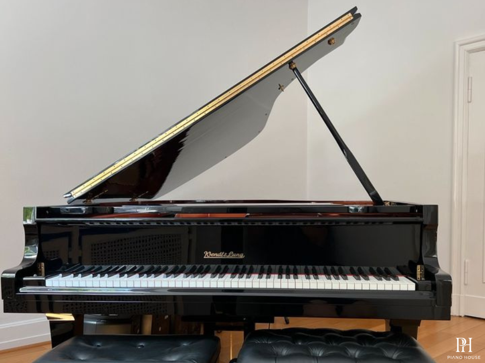 Wendl & Lung Mod.218 Concert I