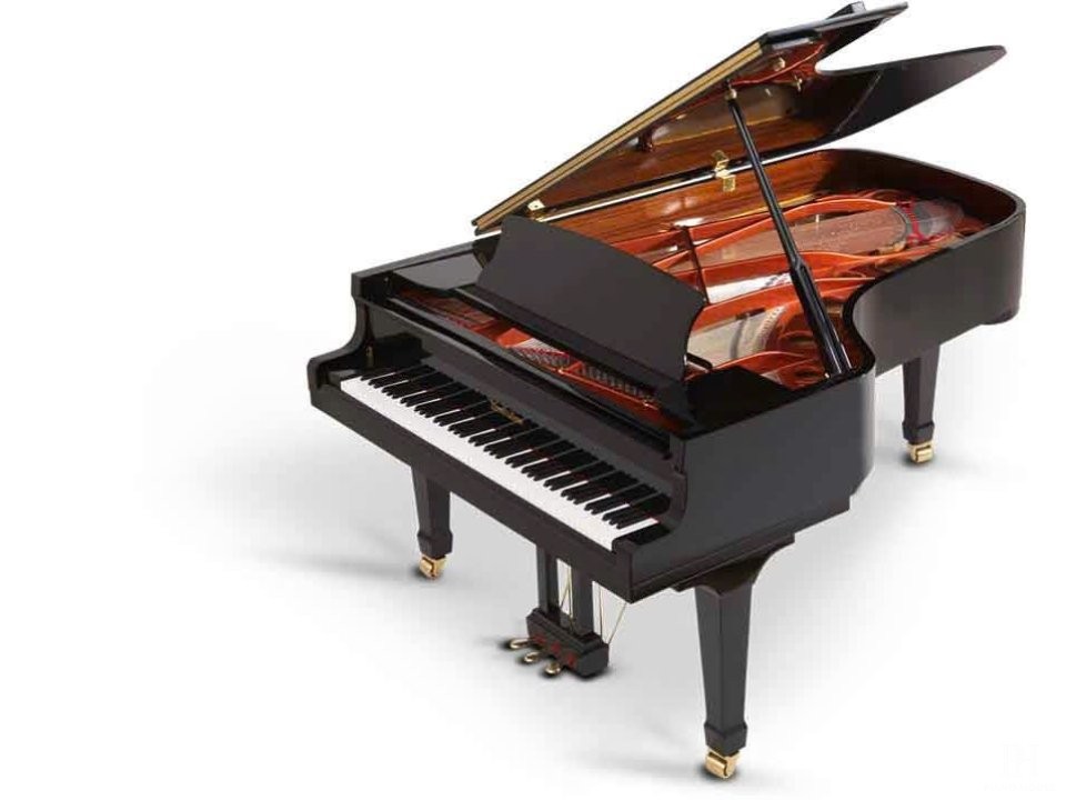 Wendl & Lung Mod.218 Concert I