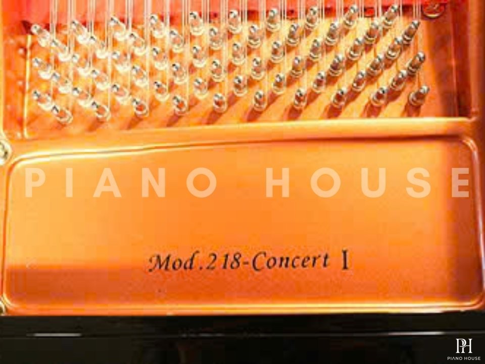 Wendl & Lung Mod.218 Concert I