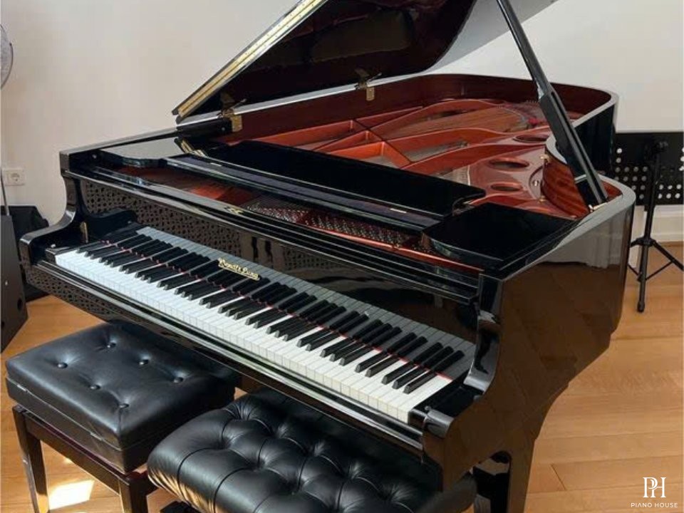 Wendl & Lung Mod.218 Concert I