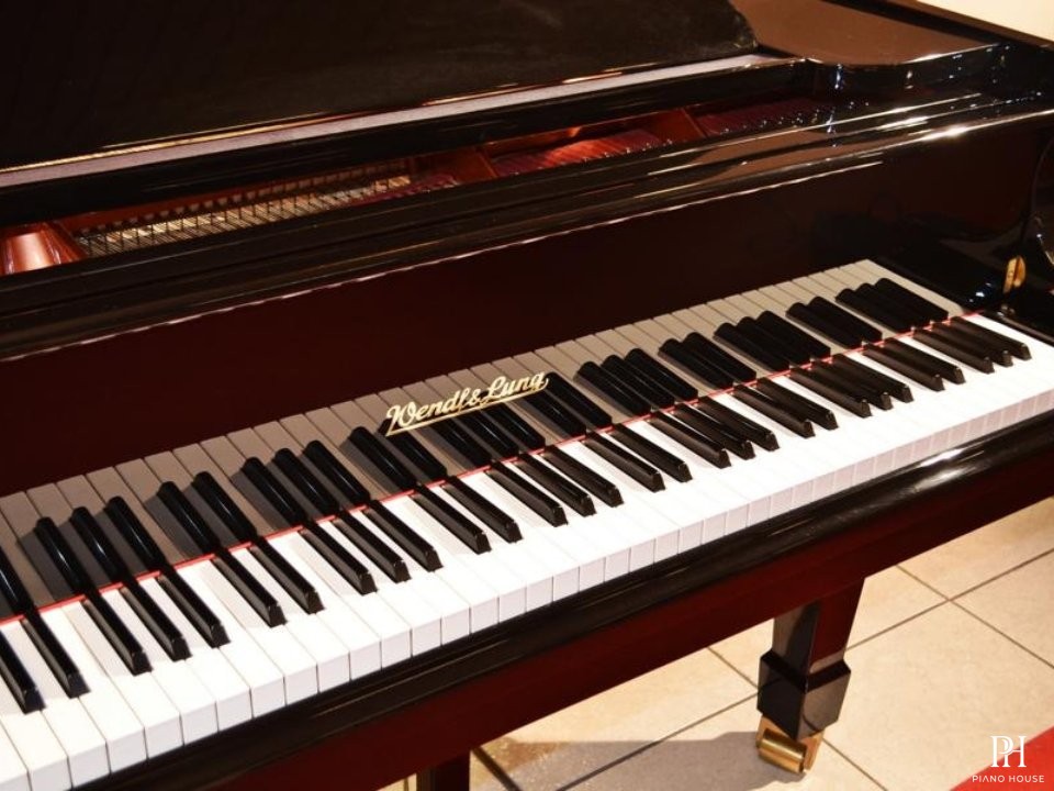 Wendl & Lung Mod.178 Professional II