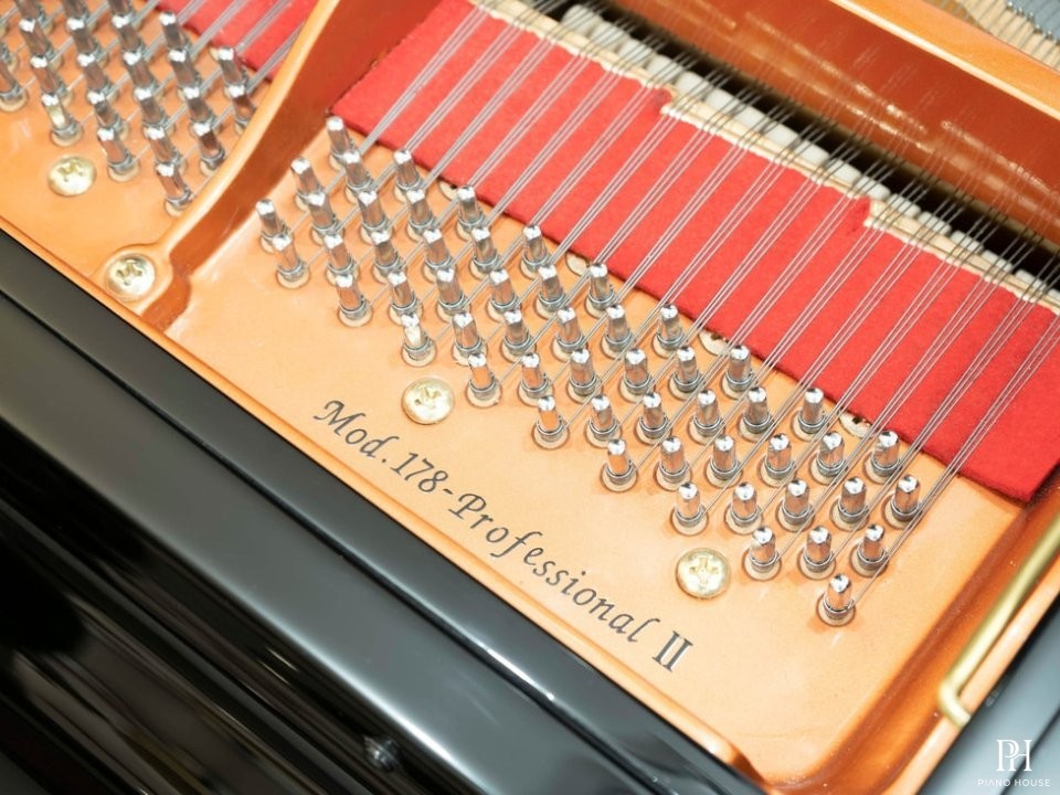 Wendl & Lung Mod.178 Professional II