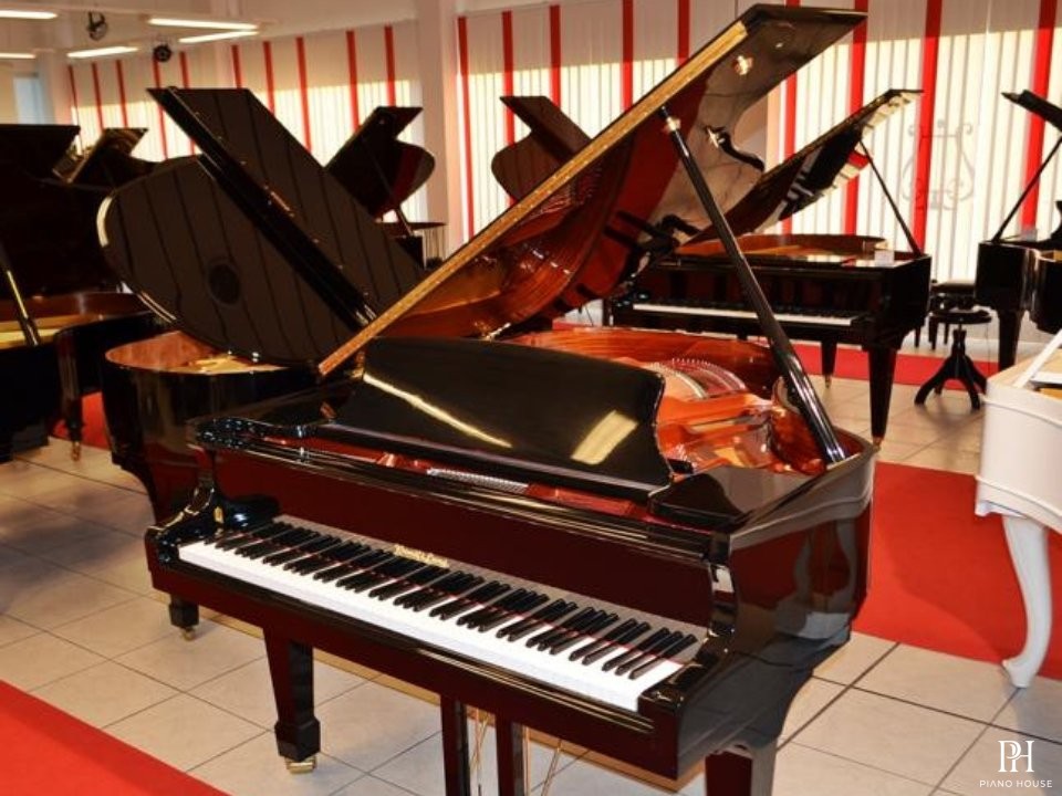 Wendl & Lung Mod.178 Professional II