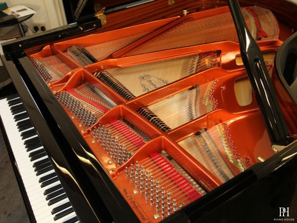 Wendl & Lung Mod.178 Professional II