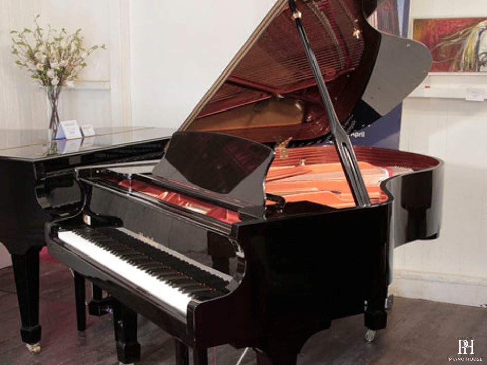 Wendl & Lung Mod.178 Professional II