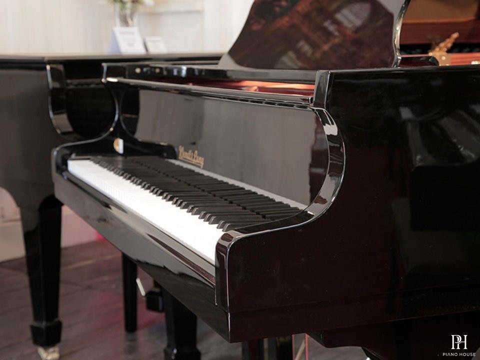 Wendl & Lung Mod.178 Professional II