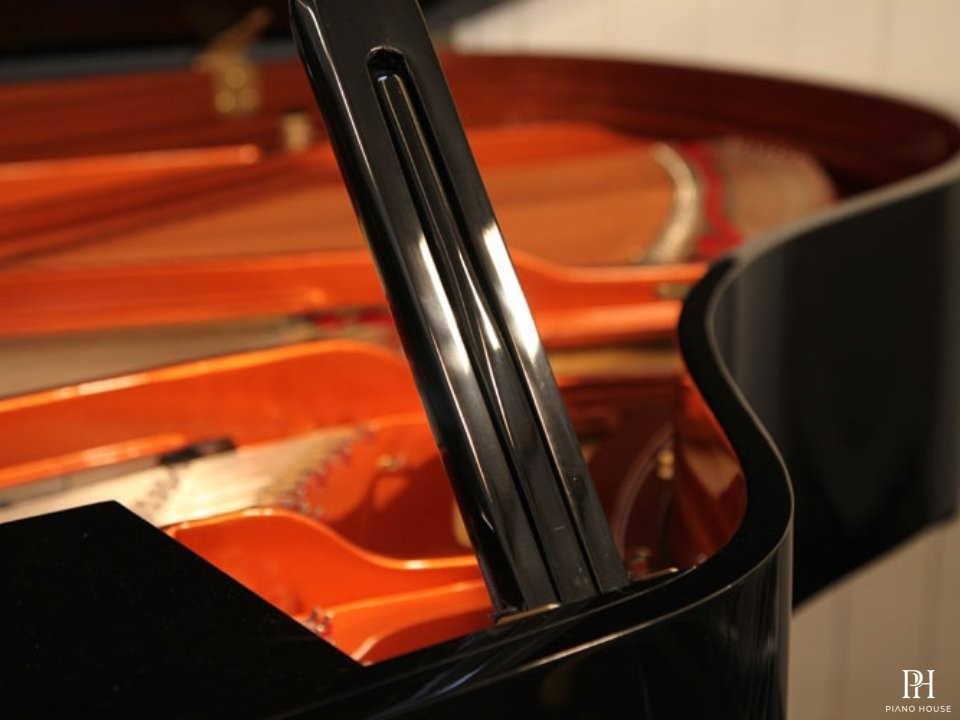 Wendl & Lung Mod.178 Professional II