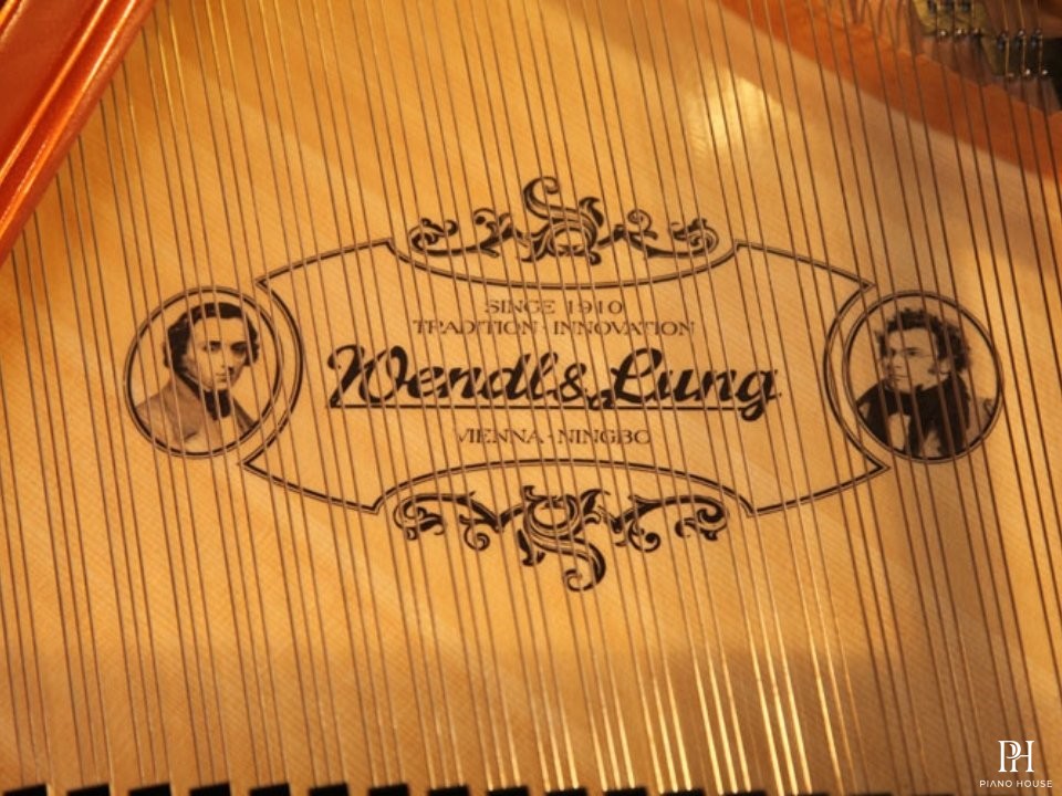 Wendl & Lung Mod.178 Professional II