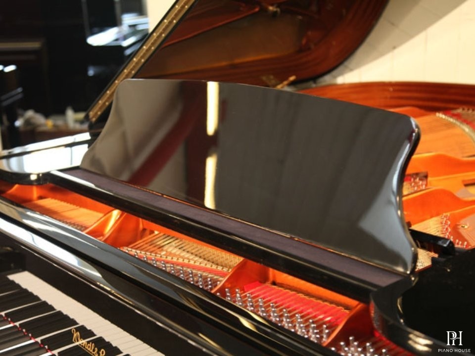 Wendl & Lung Mod.178 Professional II