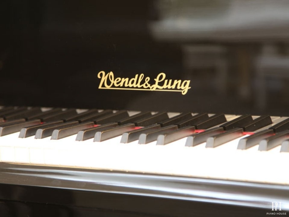 Wendl & Lung Mod.178 Professional II