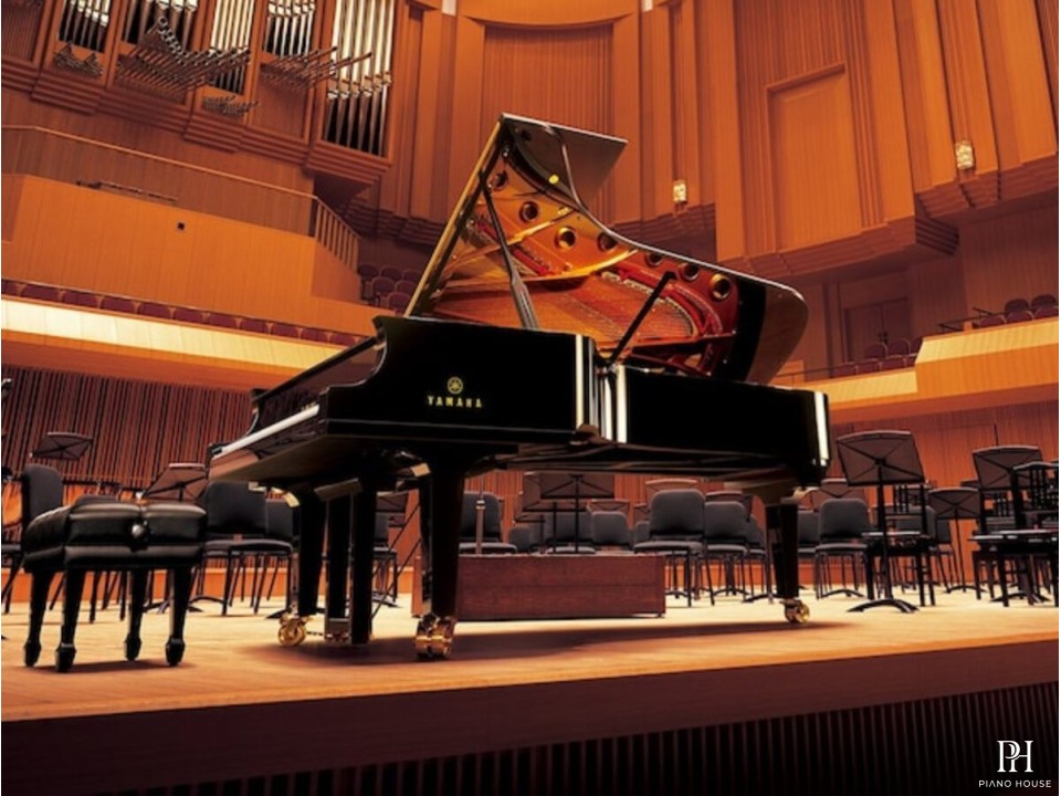 YAMAHA CFX (2010)
