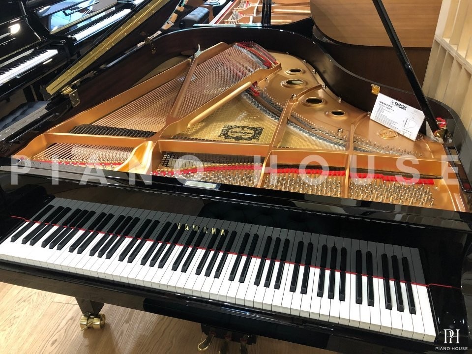 YAMAHA S3X