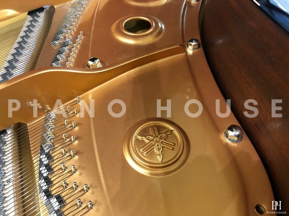 YAMAHA S5X | PREMIUM GRAND (USED)