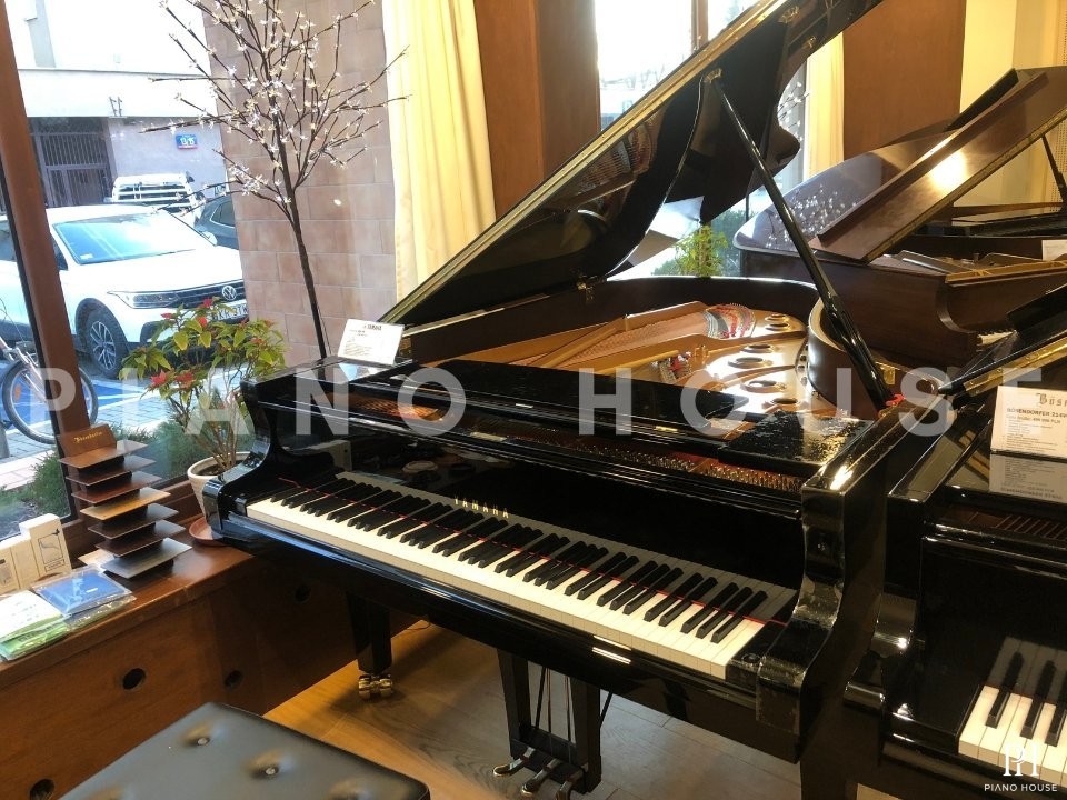 YAMAHA S6X