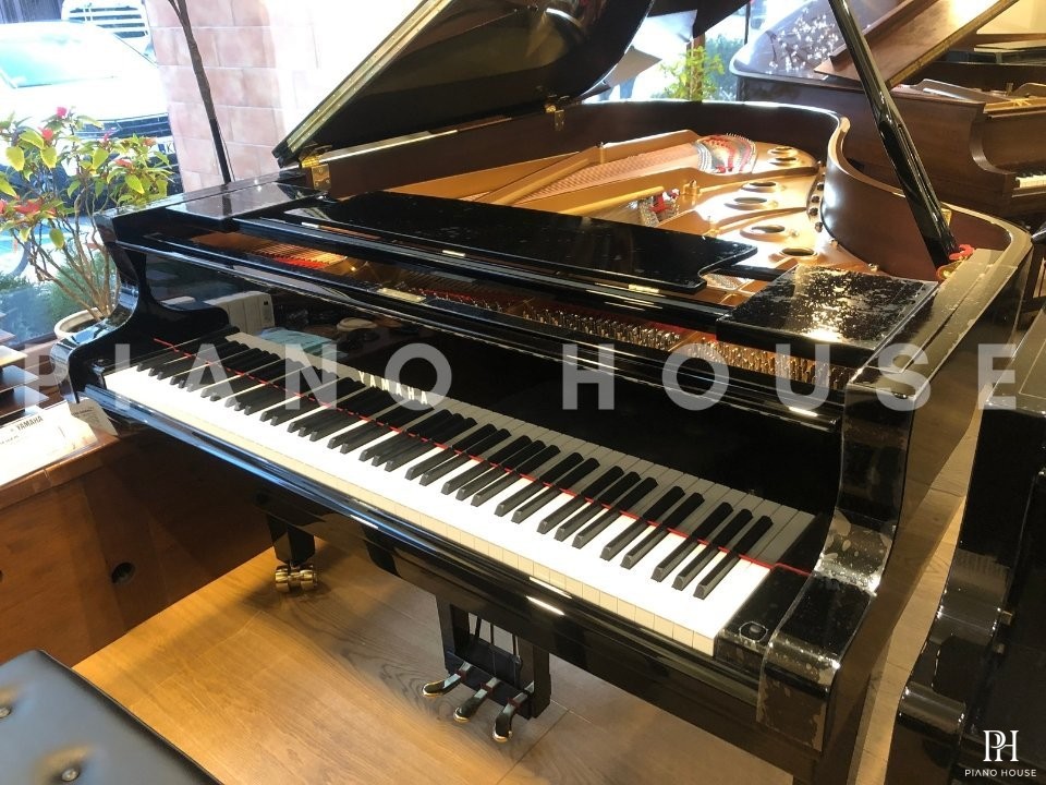 YAMAHA S6X