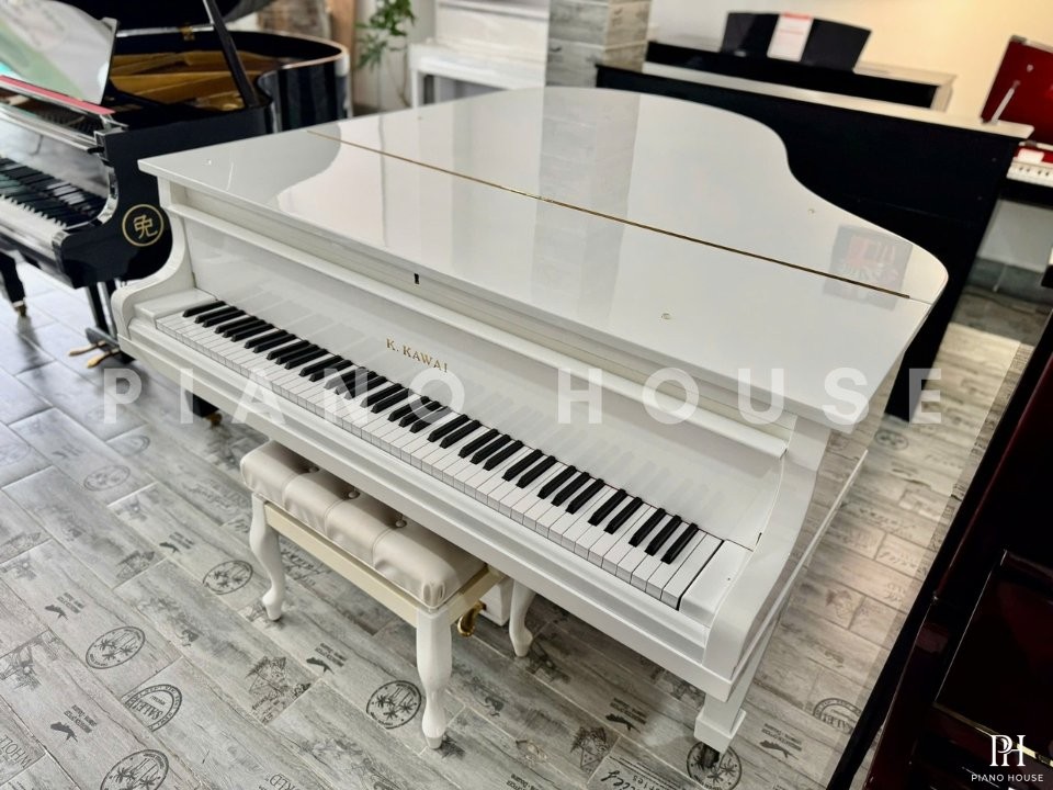 KAWAI No.500