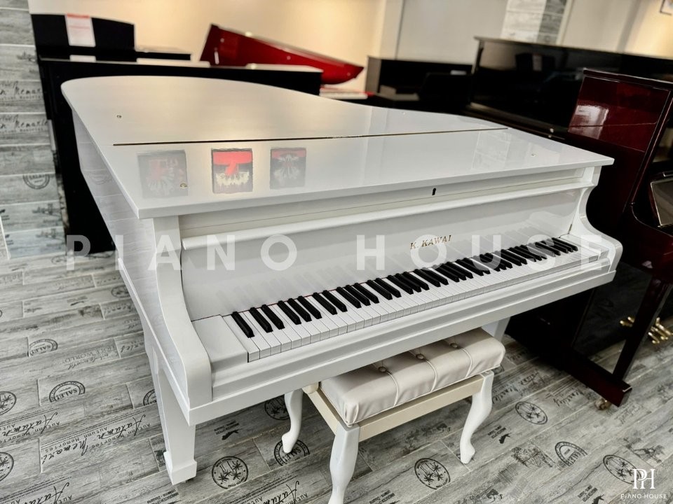 KAWAI No.500