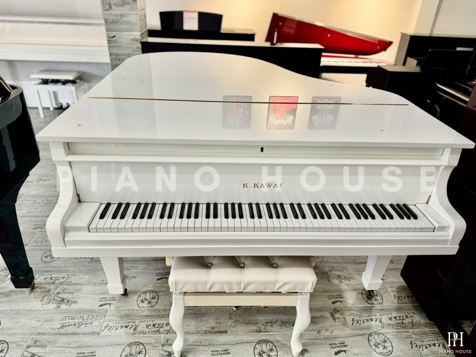 KAWAI No.500