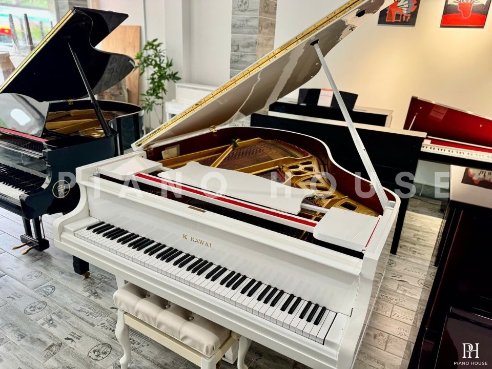 KAWAI No.500