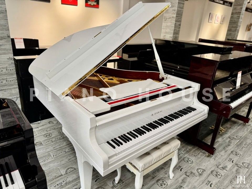 KAWAI No.500