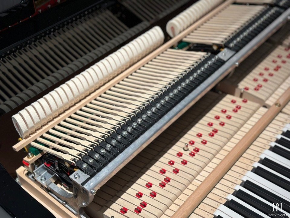 KAWAI GL20 PE