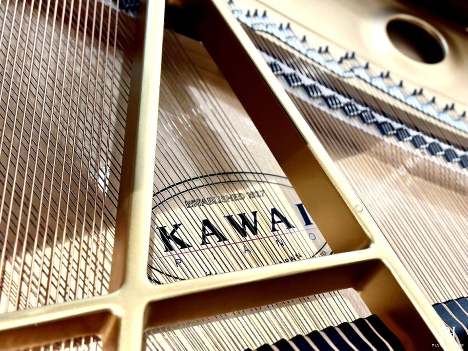 KAWAI GL20 PE