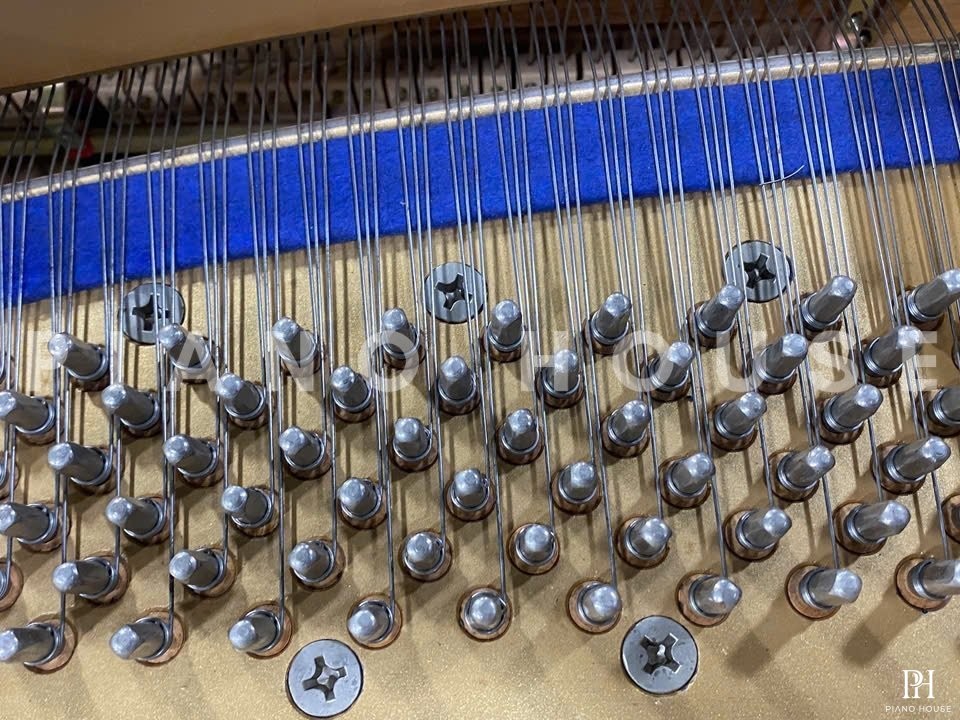 KAWAI KG-1E PE
