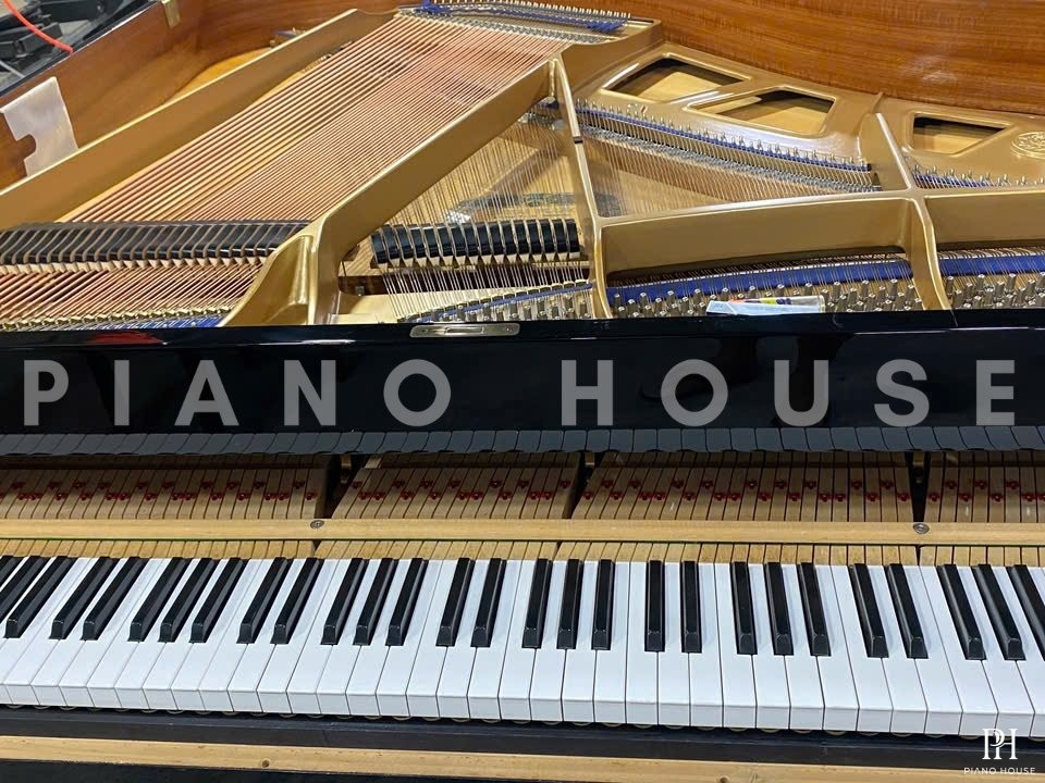KAWAI KG-1E PE