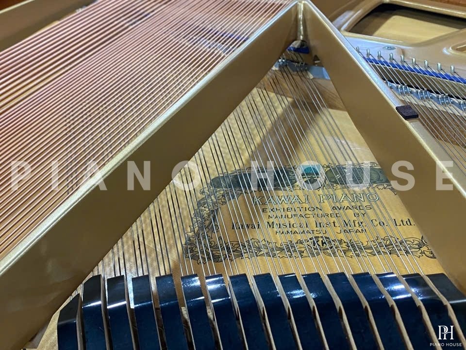 KAWAI KG-1E PE
