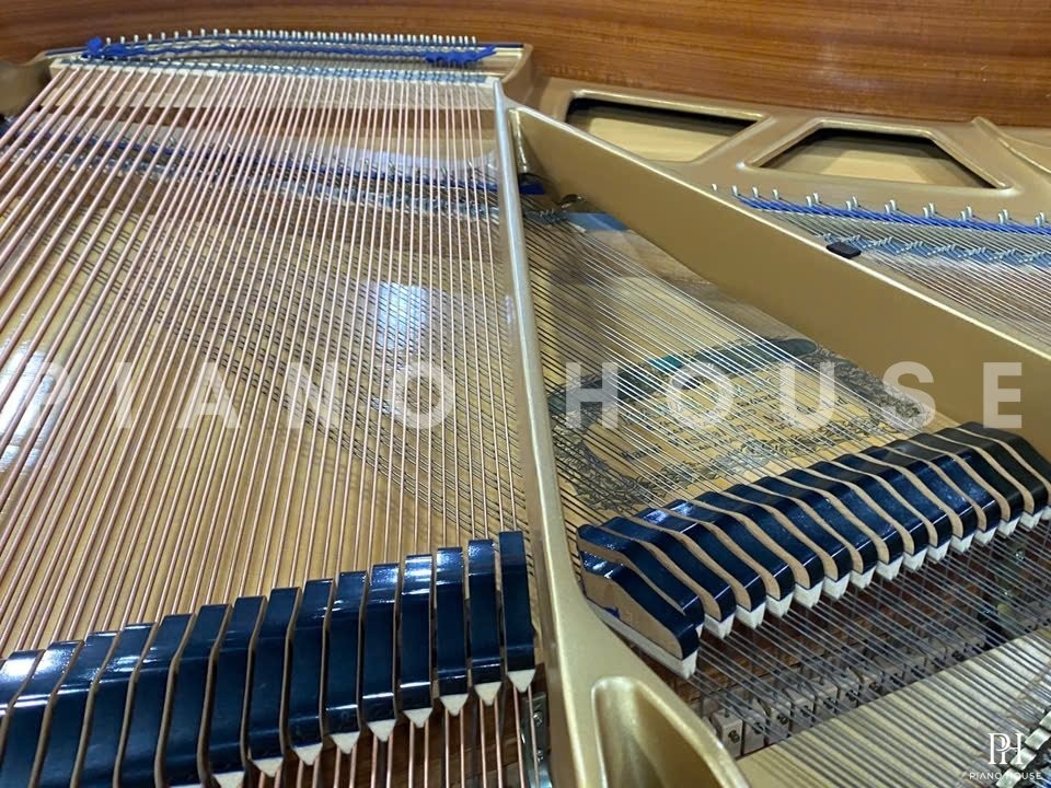 KAWAI KG-1E PE