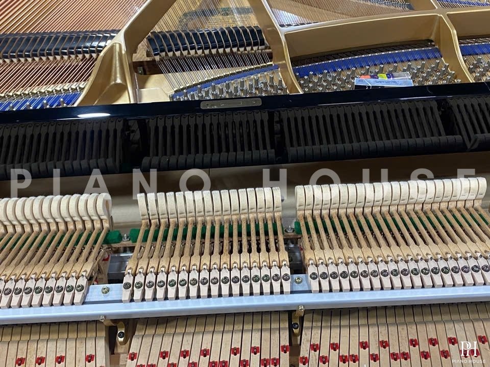 KAWAI KG-1E PE