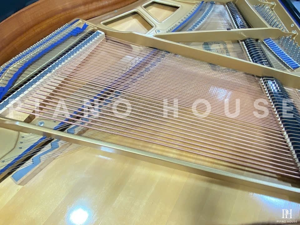 KAWAI KG-1E PE