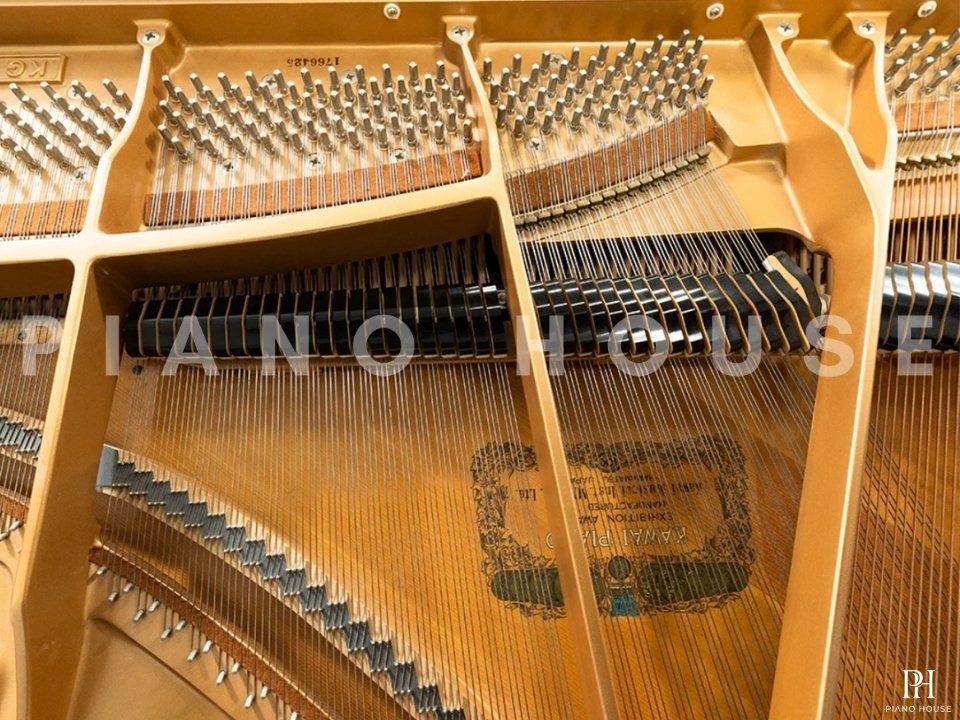 KAWAI KG-1E PM