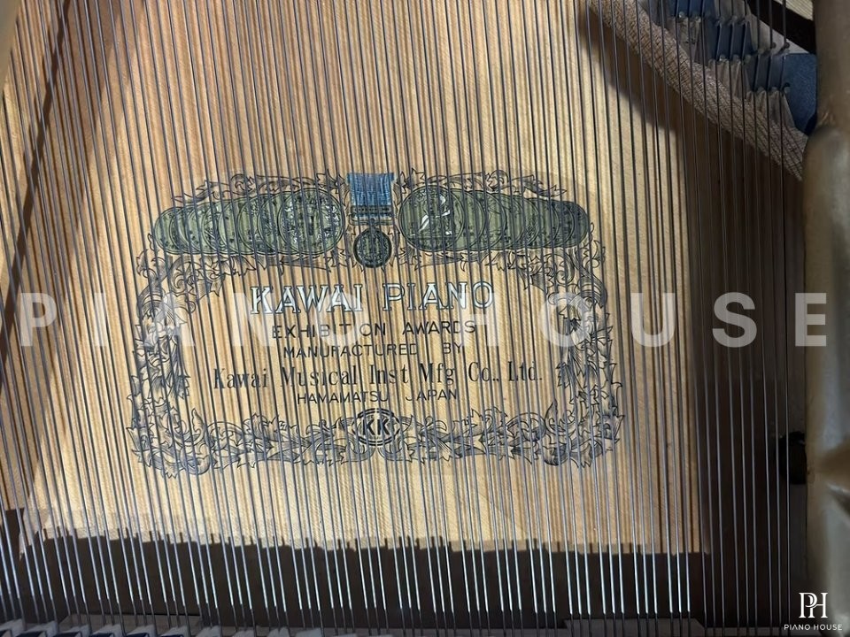 KAWAI KG-6C